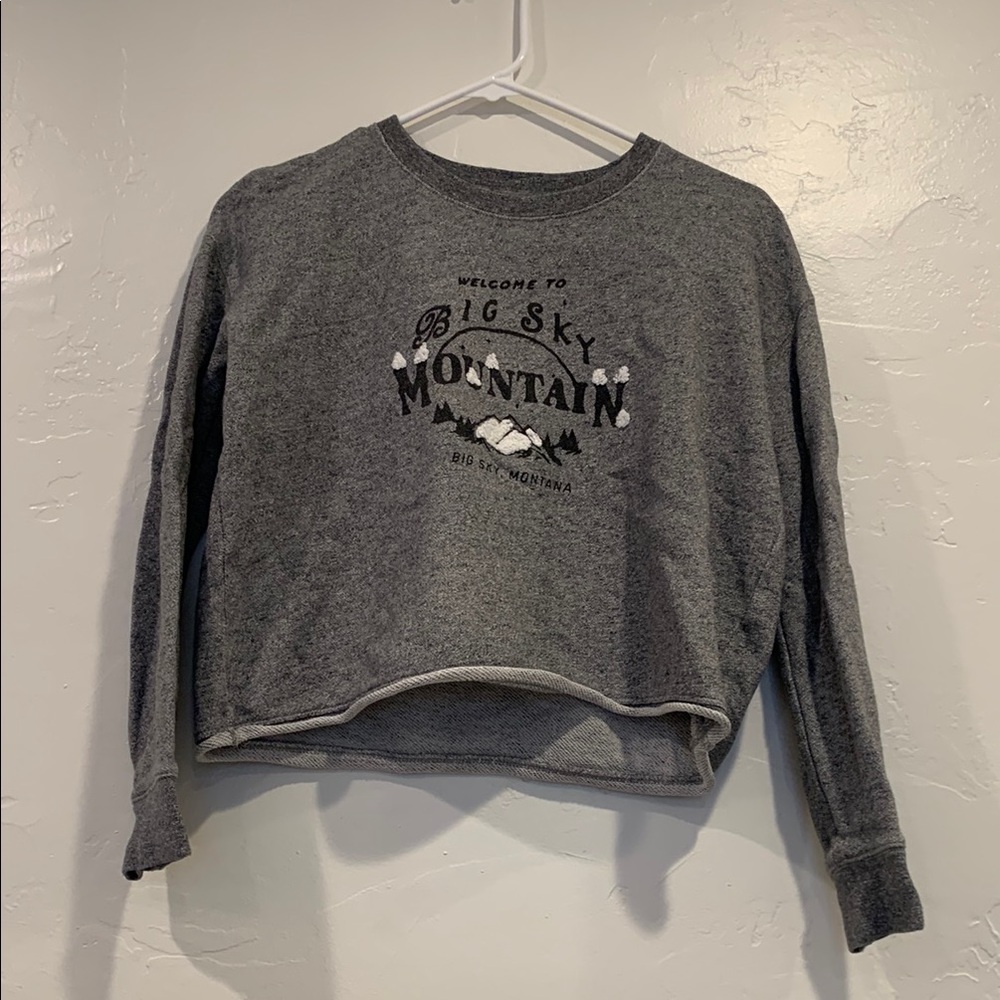 Gray Cropped Sweatshirt with Crew Neck and Long Sleeves